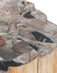 Norwest - Petrified Wood Coffee Table - Natural