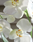 Laris - Orchid Drop-In - White