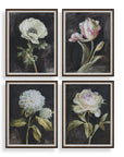 Florals On Black - Framed Prints (Set of 4) - Black