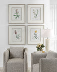 Heirloom Blooms - Study Framed Prints (Set of 4) - Green