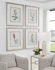 Heirloom Blooms - Study Framed Prints (Set of 4) - Green