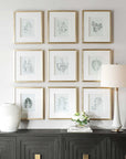 Nature's - Script Framed Botanical Prints (Set of 9) - Gold / Green / White