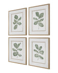 Fiddle Head - Leaf Botanical Prints (Set of 4) - Gold / Green / White