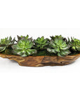 Yuma - Succulent Centerpiece - Dark Brown