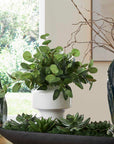 Essence Eucalyptus - Accent & Vase - Green / White