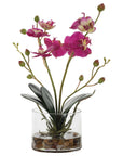 Glory Orchid - Fuchsia Orchid - Pearl Silver
