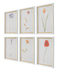 Wild Flourish - Framed Floral Prints (Set of 6) - Light Brown