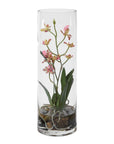 Mariposa - Orchid - Pink