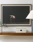 King Of The Hill - Framed Bovine Print - Black