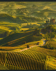 Vinyard - 48" x 72" Photography - Green