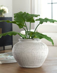 Floreana - Round Vase - White