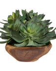 Yuma - Succulent Centerpiece - Dark Brown
