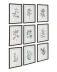 Farmhouse Florals - Framed Prints (Set of 9) - Black