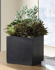Greystone - Indoor-Outdoor Succulent - Green
