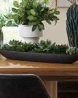 Verde - Succulent Centerpiece In Bowl - Black / Green