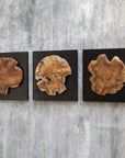 Kolini - Teak Wood Wall Decor (Set of 3)