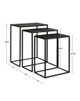 Coreene - Iron Nesting Tables (Set of 3)