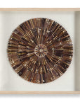 Tiger Sea Urchin - Shadow Box - Brown