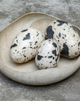 Nest Trio - Indoor-Outdoor Stone Eggs (Set of 3) - Black / White