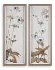 Garden - Study Framed Floral Prints (Set of 2) - Blue / Brown / Green / White