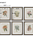 Orchid - Botanical Framed Prints (Set of 6) - Black / Blue / Gold / Green / Orange / Pink / Purple / Red