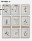 Botanical Flowers - Framed Prints (Set of 9)