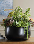 Mico - Indoor-Outdoor Succulent Centerpiece - Black,Green