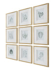 Nature's - Script Framed Botanical Prints (Set of 9) - Gold / Green / White
