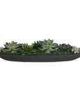 Verde - Succulent Centerpiece In Bowl - Black / Green