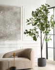 Eden - Potted Fig Tree - Green