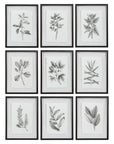 Farmhouse Florals - Framed Prints (Set of 9) - Black