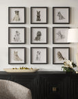 Loyal Companion - Framed Dog Prints (Set of 9)