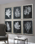 Foliage - Framed Prints (Set of 6) - Black