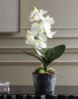 Laris - Orchid Drop-In - White