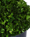 Verdana - Boxwood Centerpiece In Bowl - Gray / Green