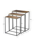 Coreene - Iron Nesting Tables (Set of 3)