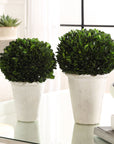 Preserved Boxwood - Domes (Set of 2) - Green