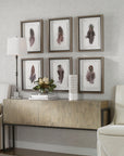 Birds Of A Feather - Framed Prints (Set of 6)