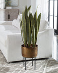 Fasita - Brass Planter 2 Cartons - Green