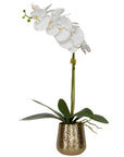 Cami Orchid - Orchid With Brass Pot - White
