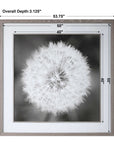 Dandelion Seedhead - Framed Print - Black