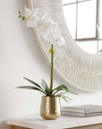 Cami Orchid - Orchid With Brass Pot - White