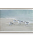 Tranquil Shorebirds On The Sand - Framed Print - Light Gray