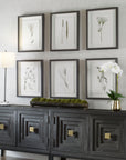 Forest - Finds Framed Prints (Set of 6)
