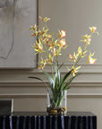 Spider - Orchid In Glass Vase - Green,Pink,Yellow