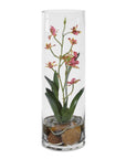 Mariposa - Orchid - Pink