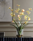 Spider - Orchid In Glass Vase - Green,Pink,Yellow