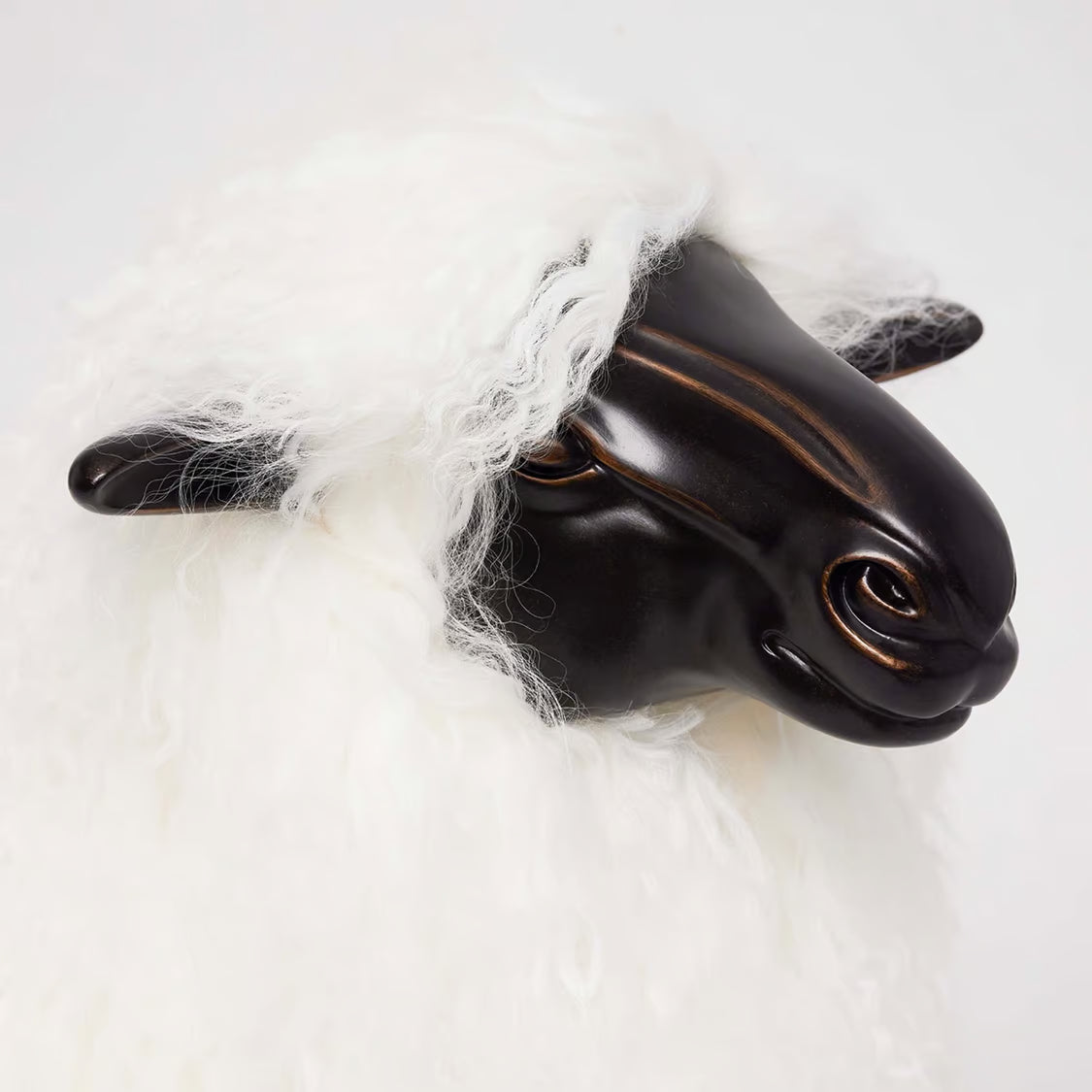 Lucie Baby Sheep