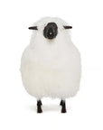 Lucie Baby Sheep