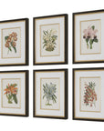 Orchid - Botanical Framed Prints (Set of 6) - Black / Blue / Gold / Green / Orange / Pink / Purple / Red
